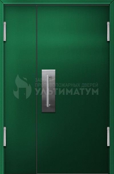 Техническая полуторная дверь ТД-61